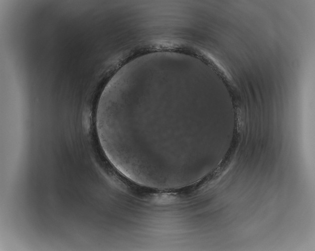 X0000112350451200909101046