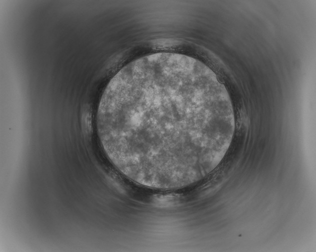 X0000112350452200909101046