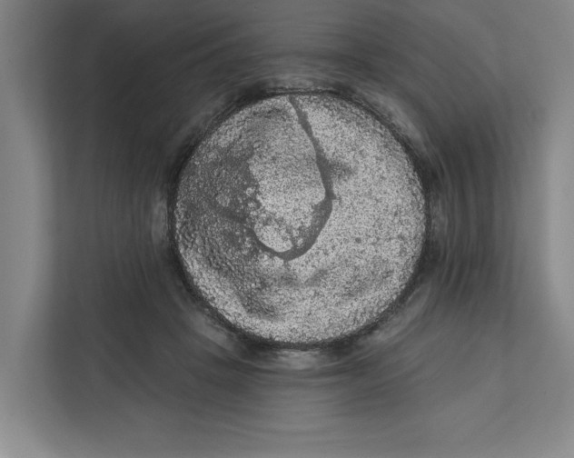 X0000112350457200909101046