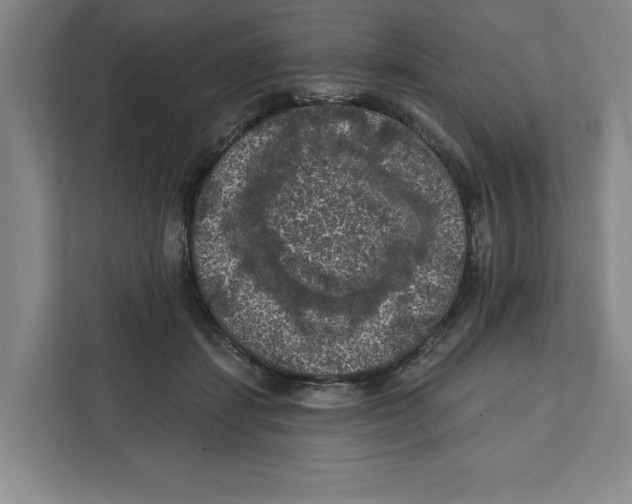 X0000112350459200909101046