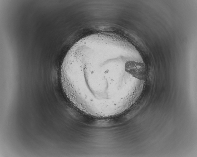 X0000112350461200909101046