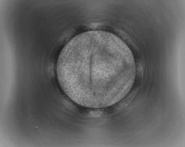 X0000112350470200909101047