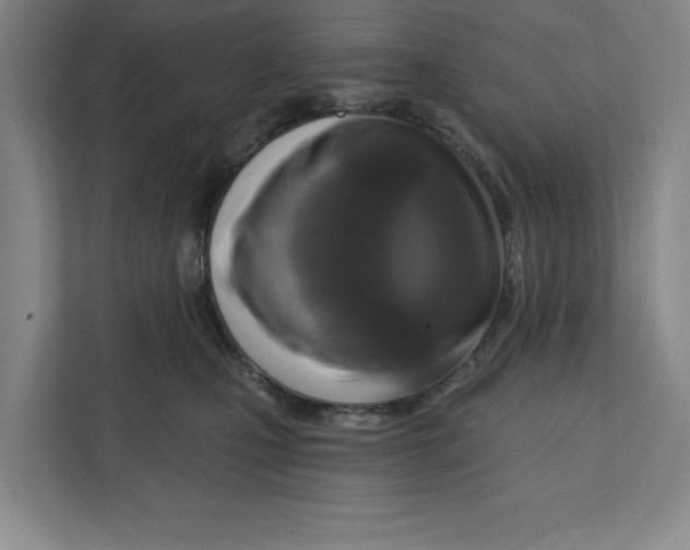 X0000112350471200909101047