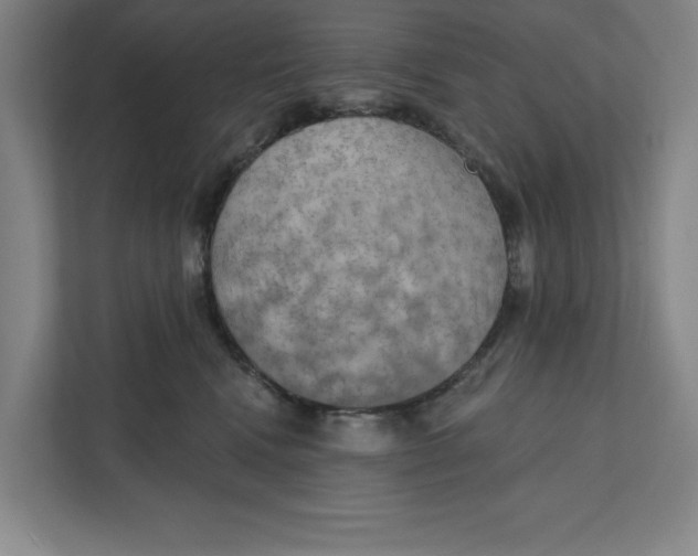 X0000112350472200909101047