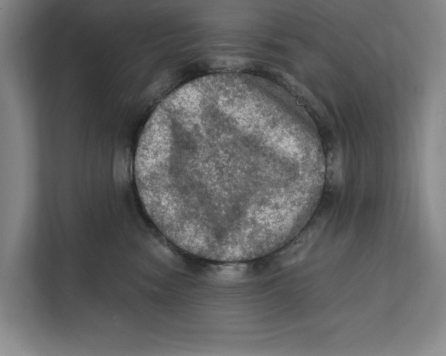 X0000112350474200909101047