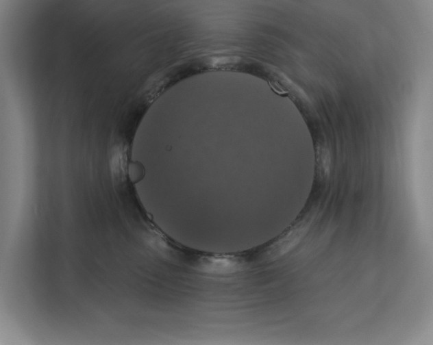 X0000112350475200909101047