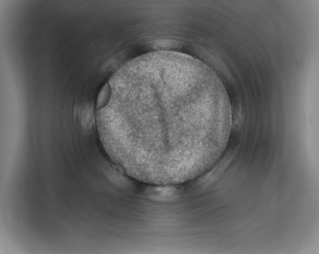 X0000112350478200909101047