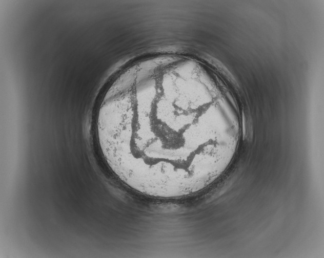 X0000112350483200909101046