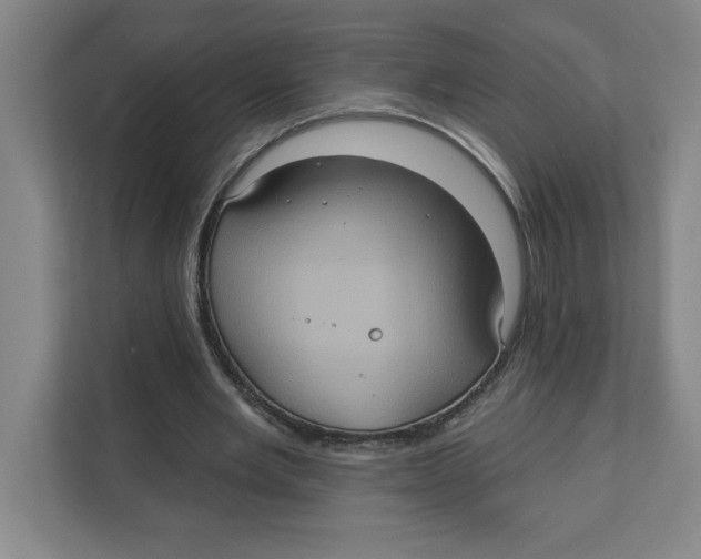 X0000112350485200909101046