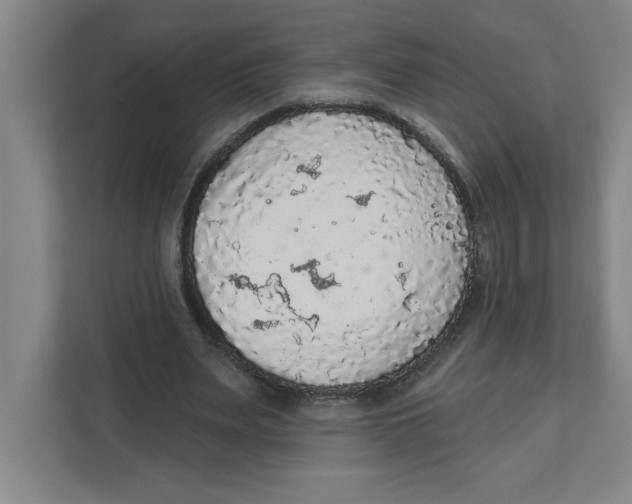 X0000112350487200909101046