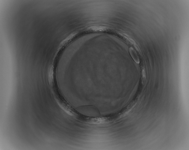 X0000112350492200909101046