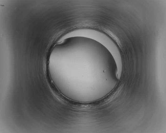 X0000112350493200909101046