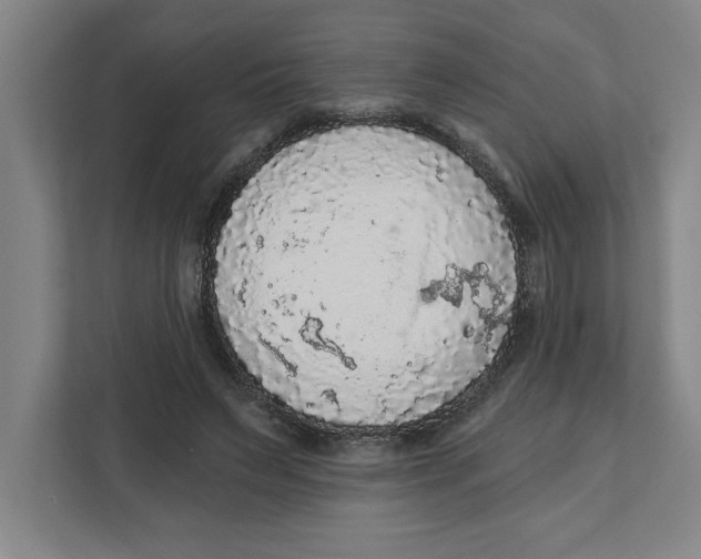 X0000112350495200909101046