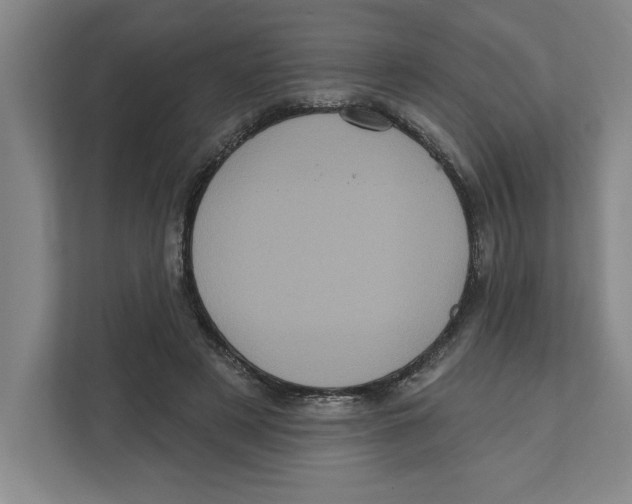 X0000112350497200909101046