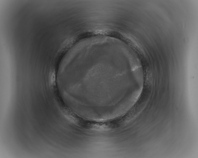 X0000112350502200909101046