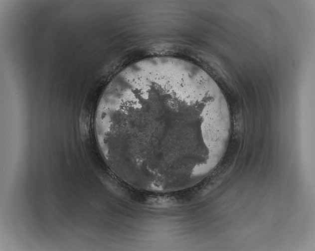 X0000112350503200909101046