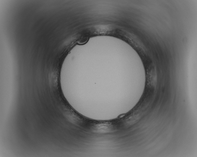 X0000112350505200909101046