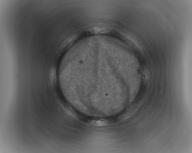 X0000112350506200909101046