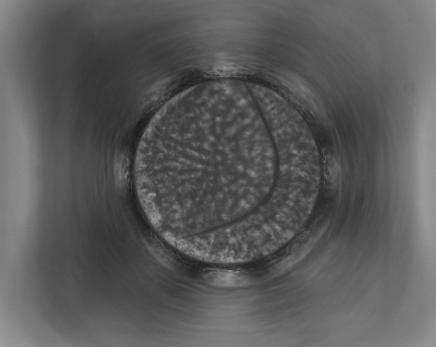 X0000112350507200909101046