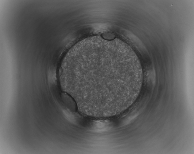 X0000112350508200909101046