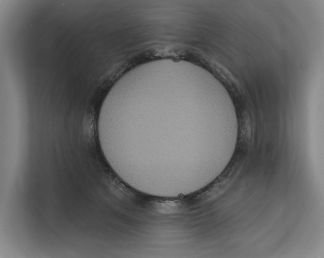 X0000112350513200909101046