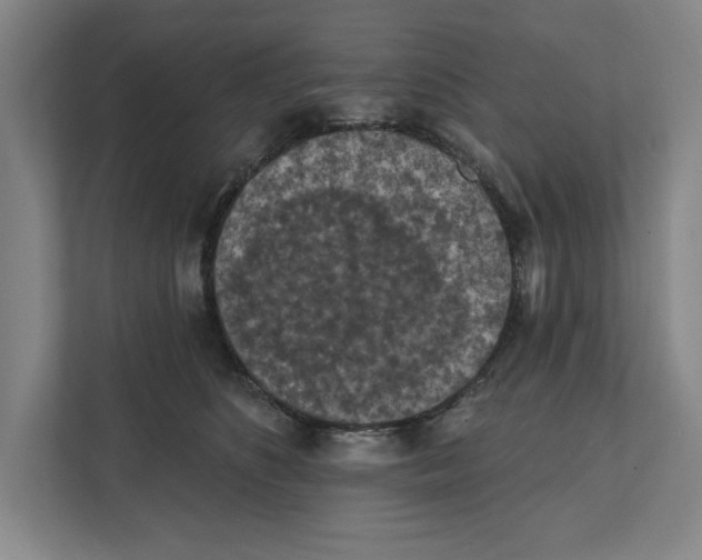 X0000112350516200909101046