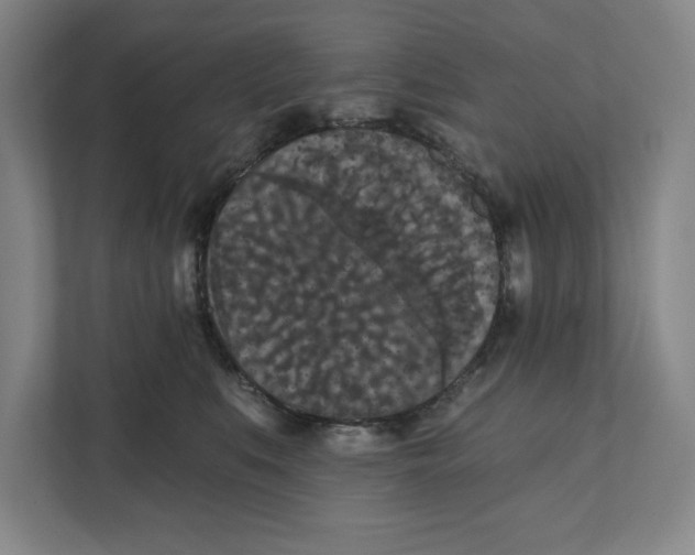 X0000112350519200909101046