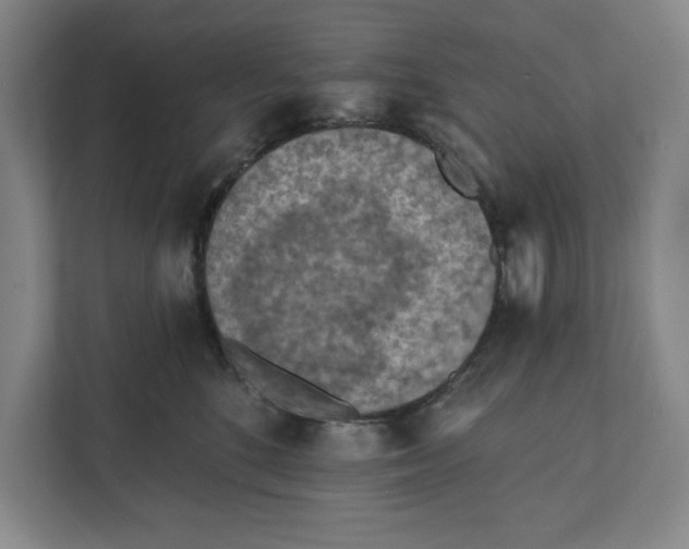 X0000112350520200909101046