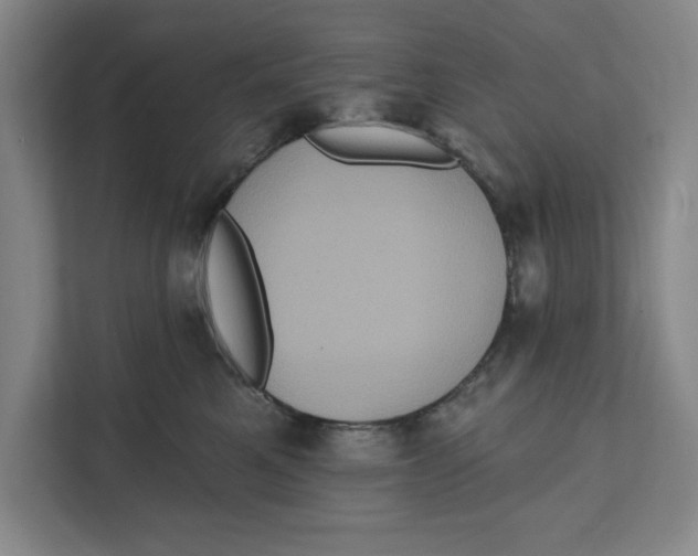 X0000112350521200909101046