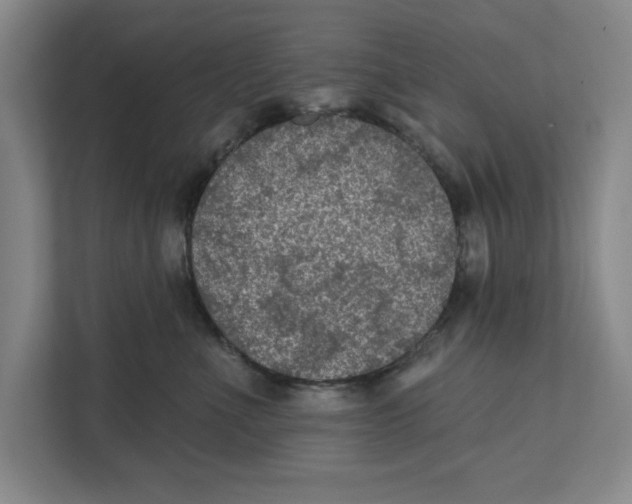 X0000112350523200909101046