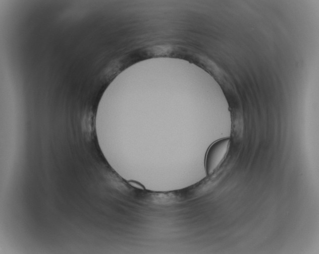 X0000112350525200909101046