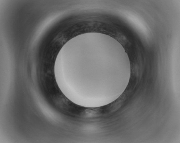 X0000112350526200909101045