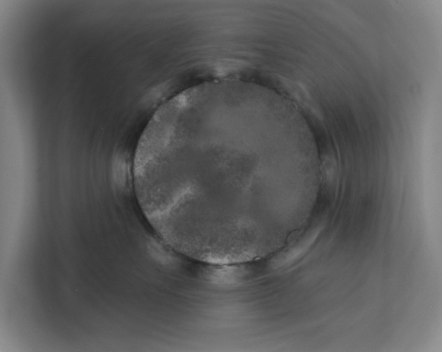 X0000112350527200909101045