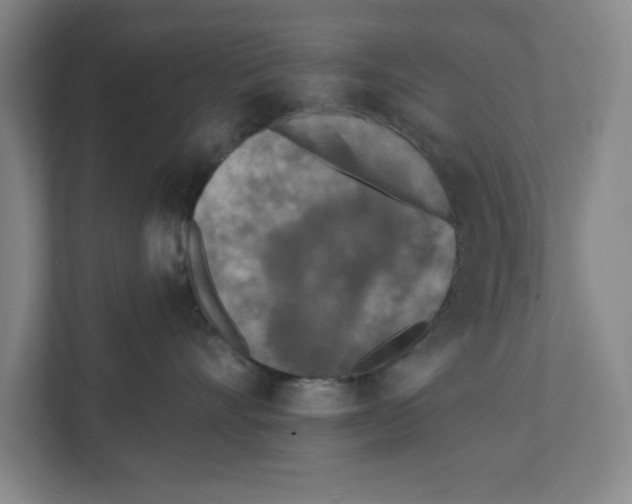 X0000112350528200909101045