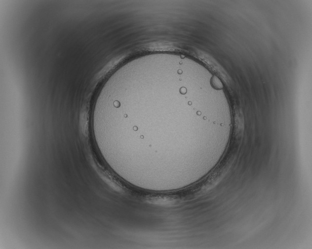 X0000112350533200909101045