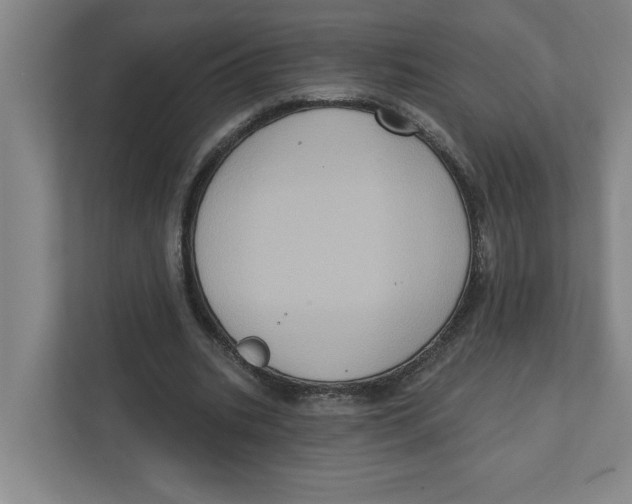 X0000112350535200909101045