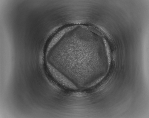 X0000112350540200909101045