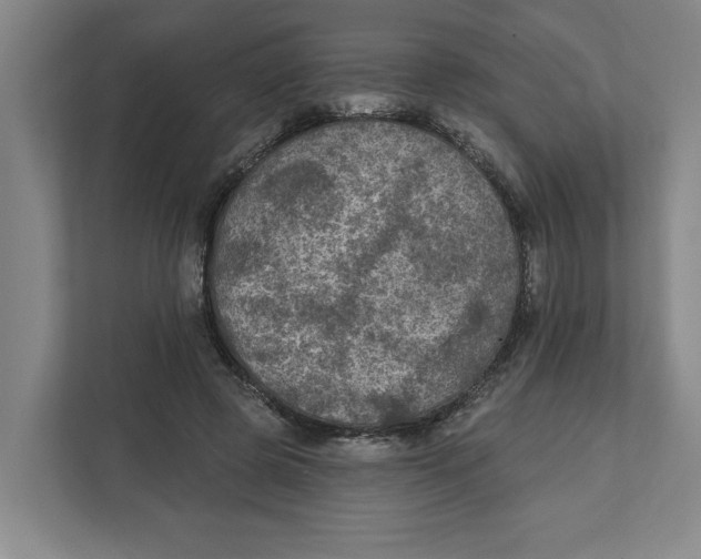 X0000112350545200909101045