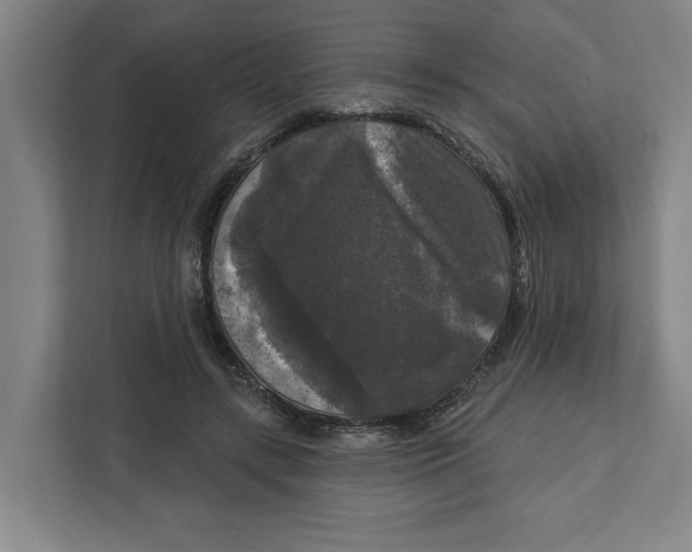 X0000112350547200909101045