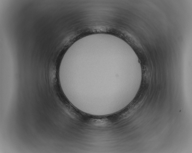 X0000112350548200909101045