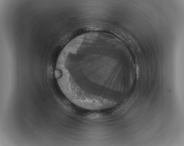 X0000112350551200909101045