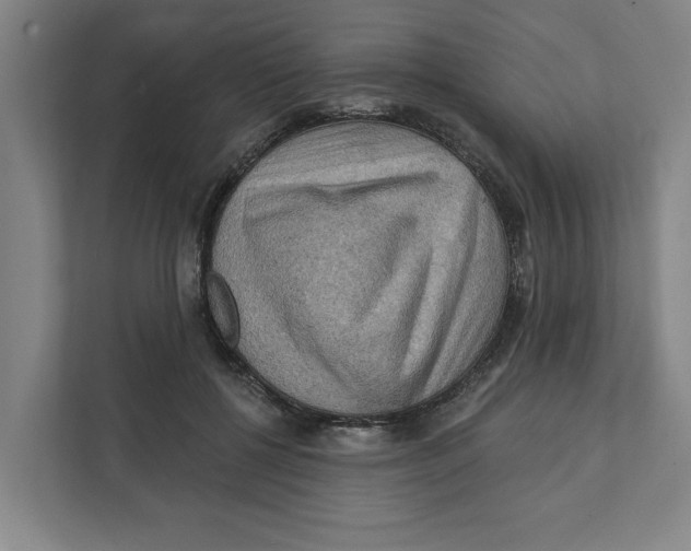 X0000112350552200909101045