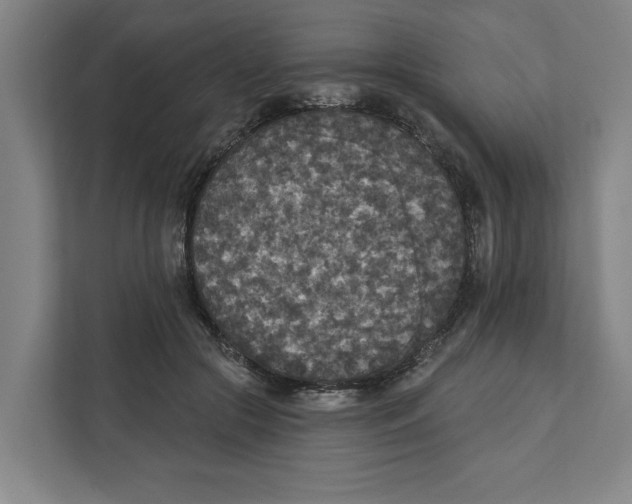 X0000112350553200909101045