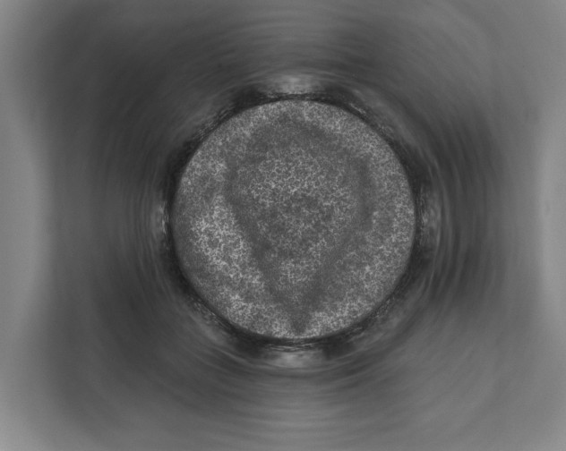 X0000112350555200909101045