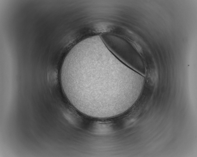 X0000112350556200909101045