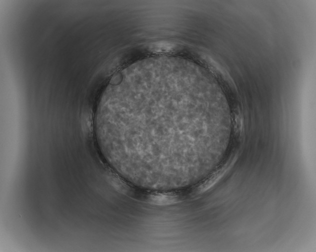 X0000112350561200909101045