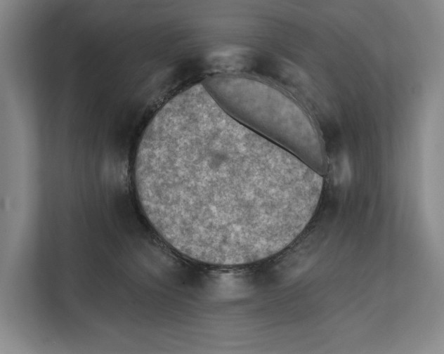 X0000112350564200909101045