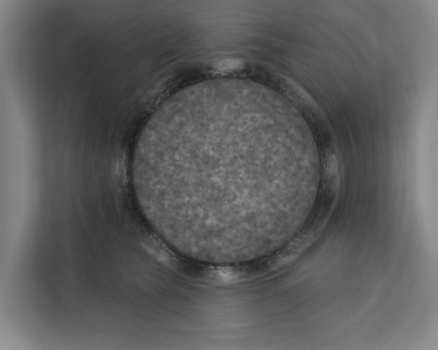 X0000112350565200909101045