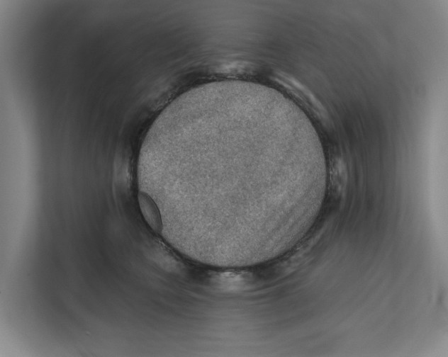 X0000112350566200909101045