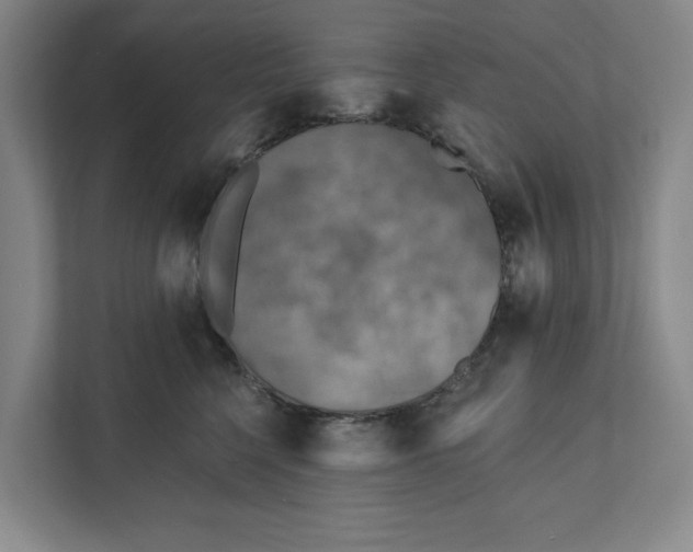 X0000112350568200909101045